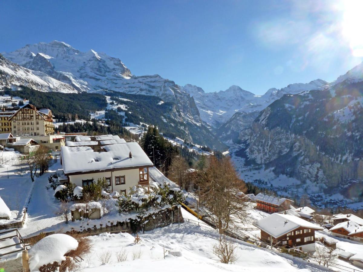 Studio Krokus By Interhome Wengen Exteriér fotografie