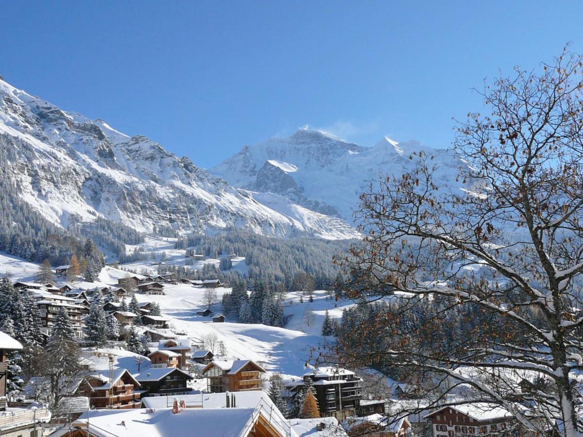Studio Krokus By Interhome Wengen Exteriér fotografie