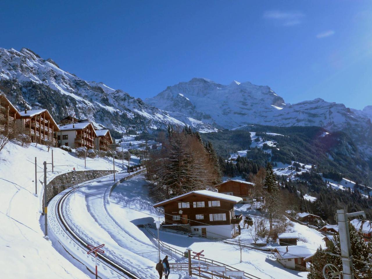 Studio Krokus By Interhome Wengen Exteriér fotografie
